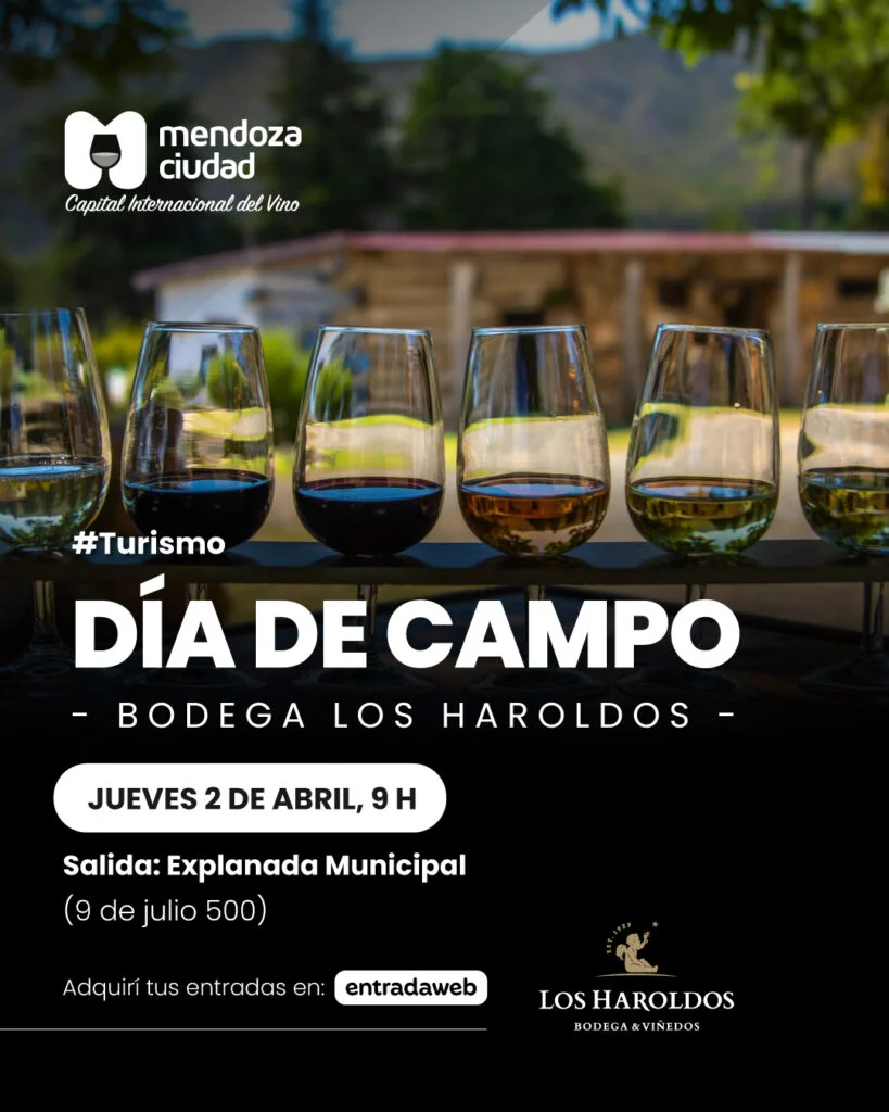 Ciudad - dia de campo flyer