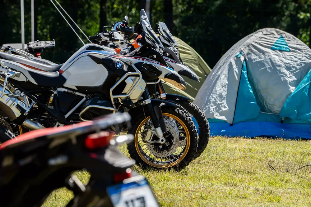Travel Fest 2