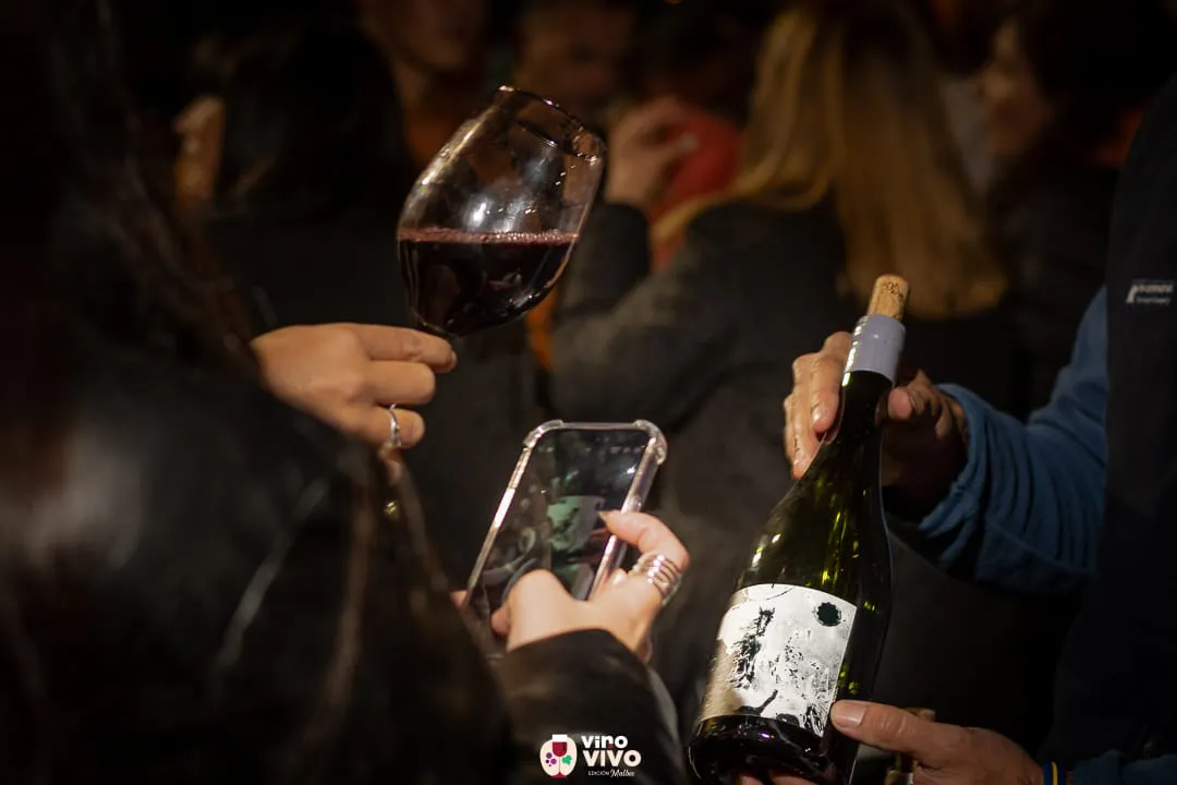 San Carlos - Vino Vivo 7