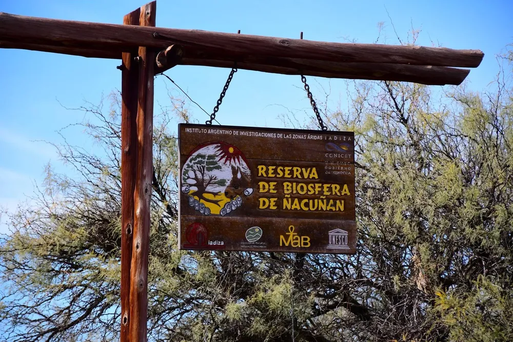 Santa Rosa - Reserva de Ñacuñán 10