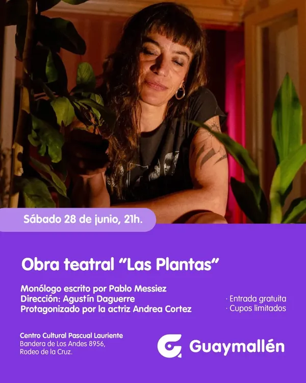 Guaymallén obra La Plantas flyer