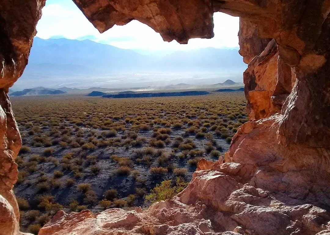 El camino del bienestar (1)