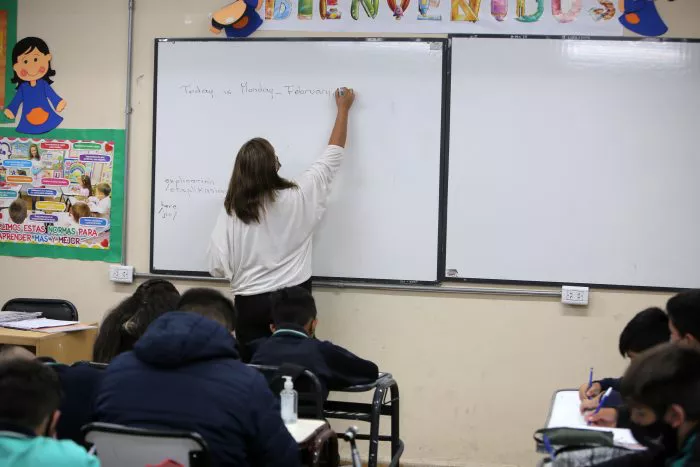 Docentes