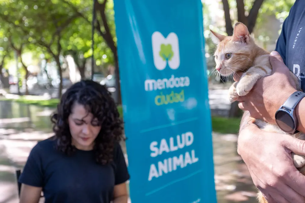 Campaña de vacunación Ciudad de Mendoza (4)