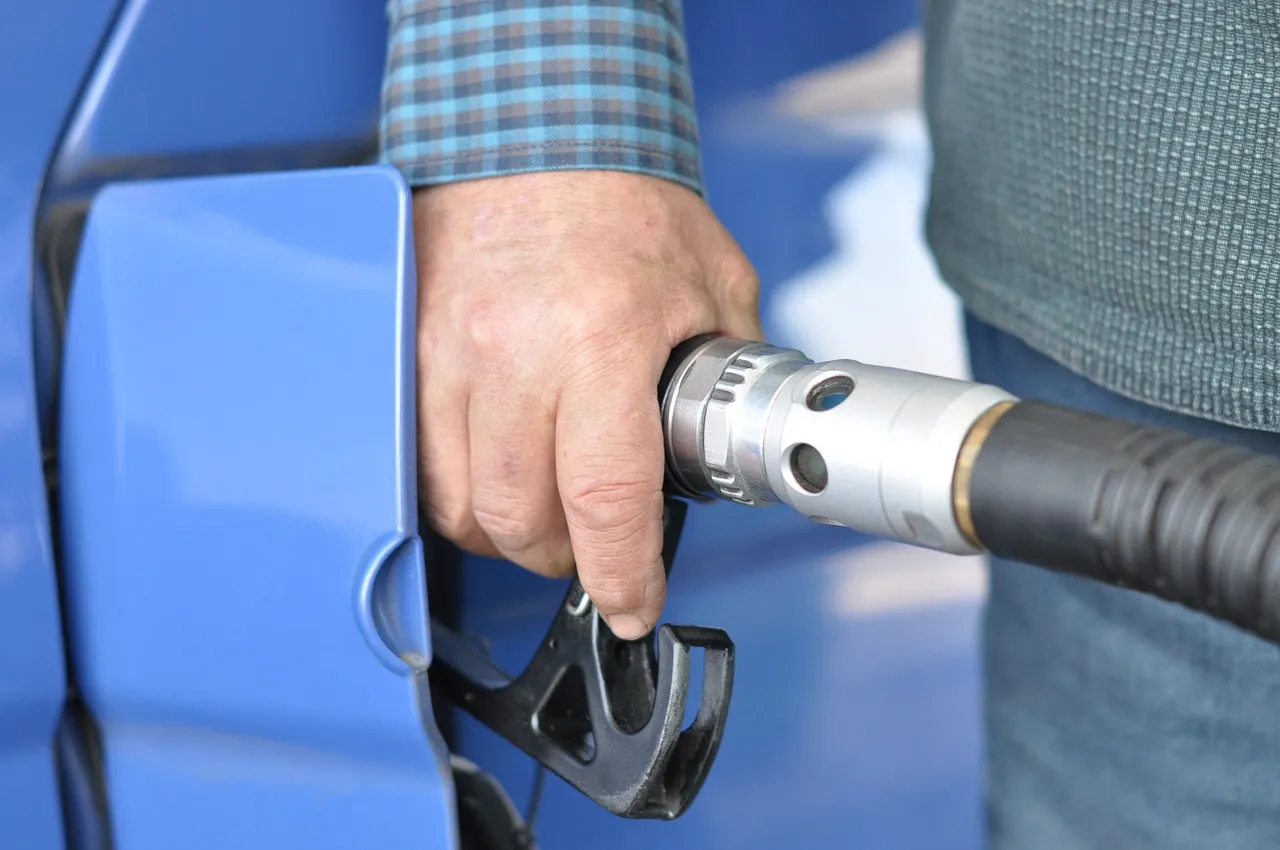 Estación de combustible. Foto Pixabay