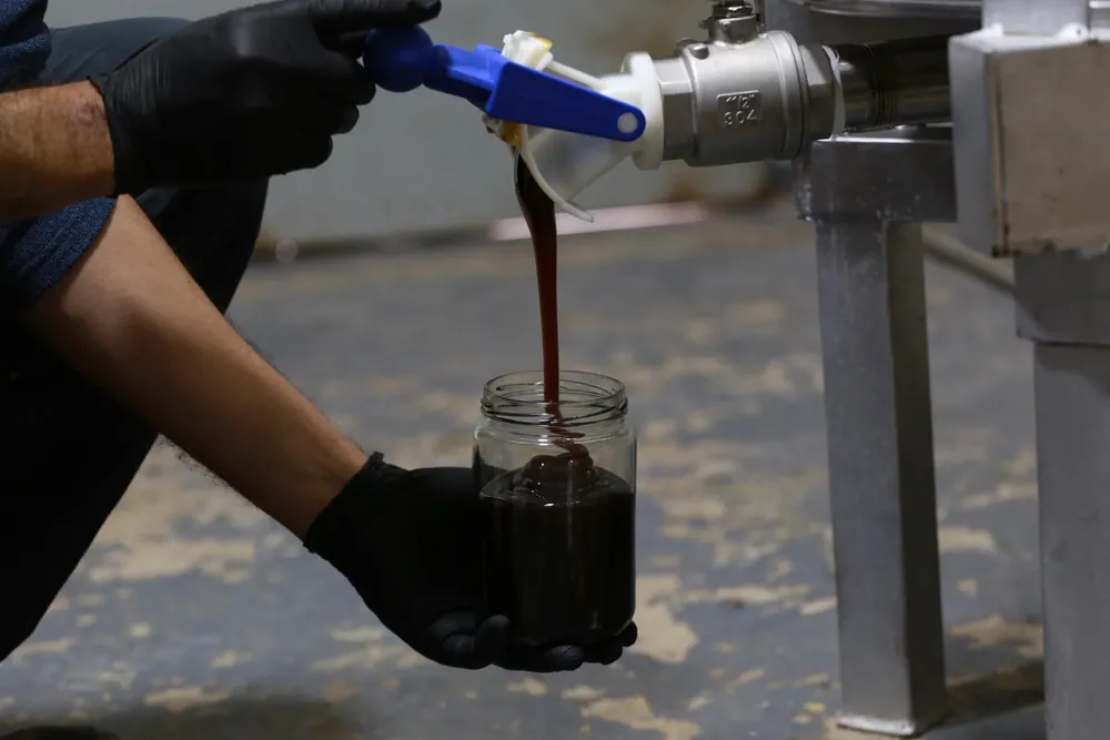 Guaymallén - Apilcutura 6