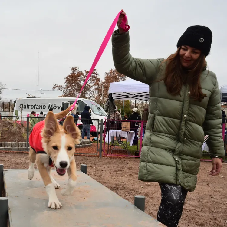 Godoy Cruz - Plaza Canina - 1