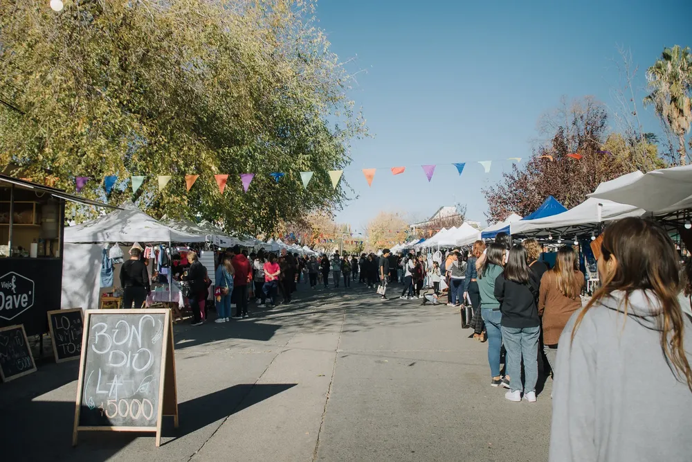 Festival de la Nuez y de los Vinos Tgto. 6