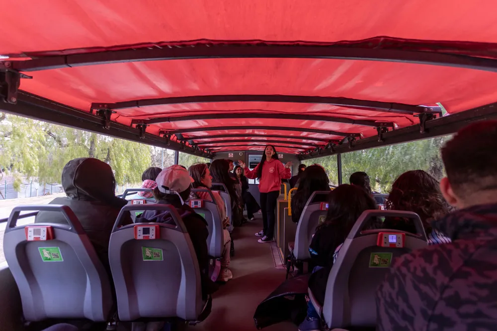 Ciudad - Bus eductivo 3