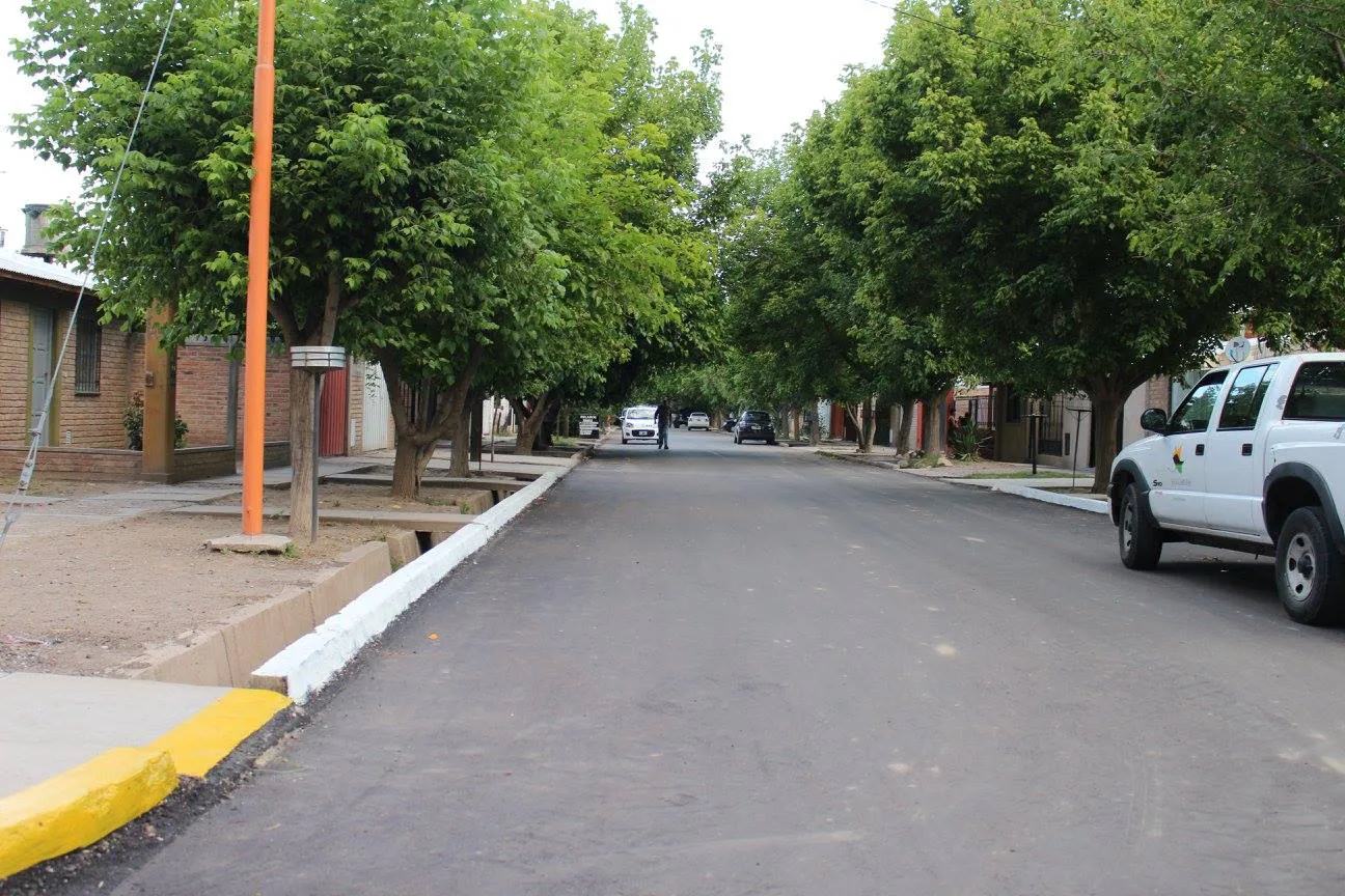 San Carlos - arboles - chilecito