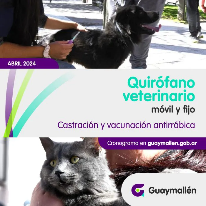 PLACA_Quirofano_Veterinario_01