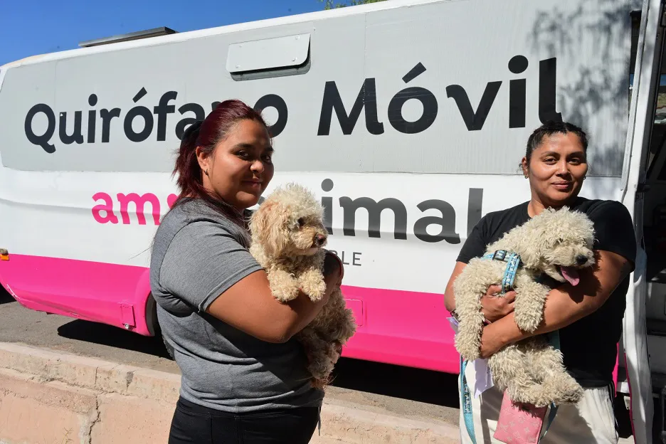 operativo-animal-perros4