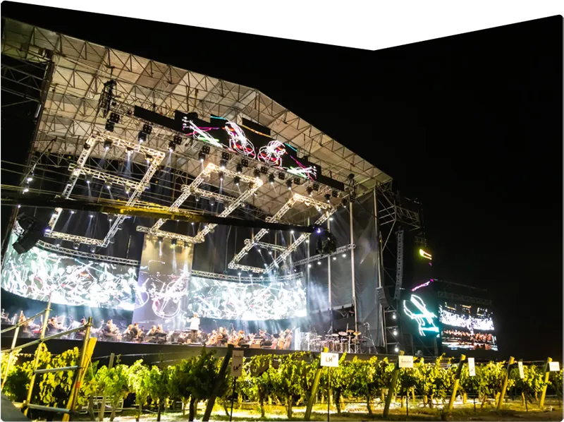 Fiesta de la Cosecha 1