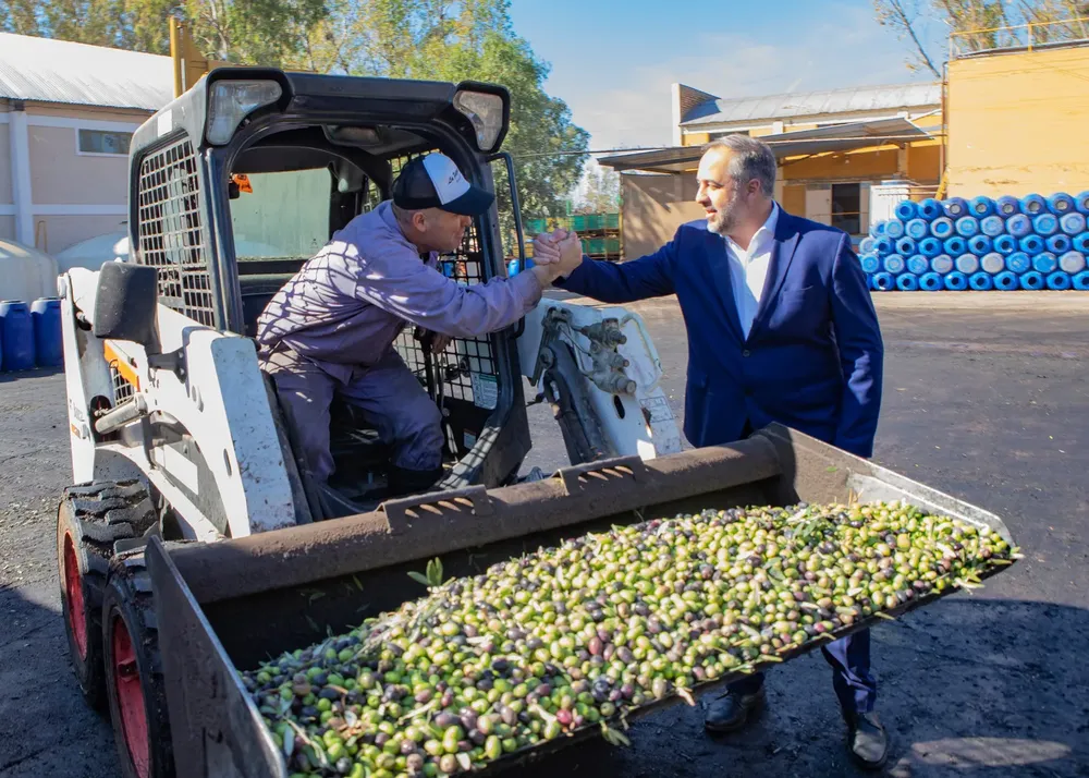 MAIPÚ STEVANATO OLIVICOLA 5