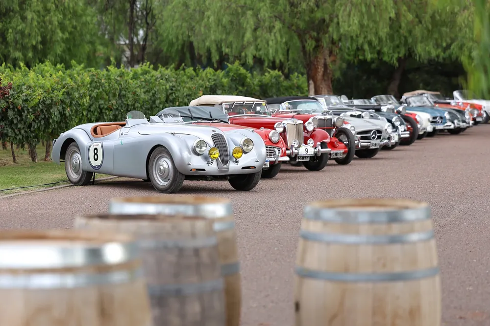 Rally de las bodegas 7