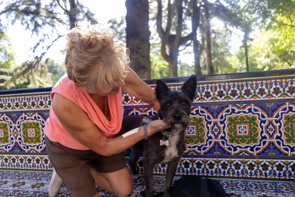 Campaña de vacunación Ciudad de Mendoza (1)