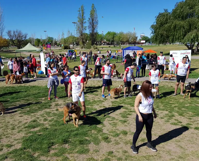 maraton-canina-1