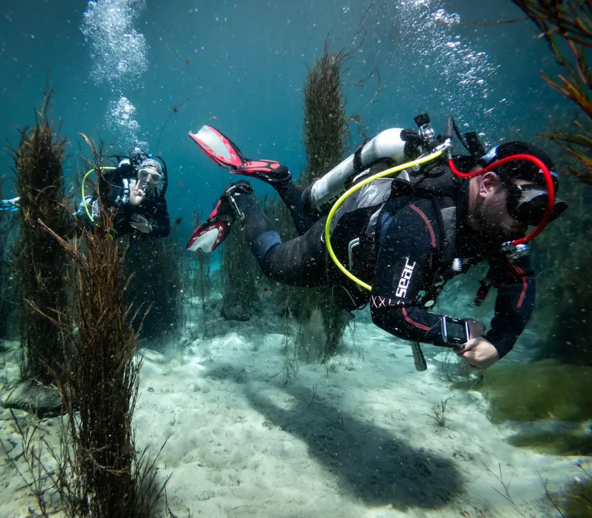 Buceo de altura 2