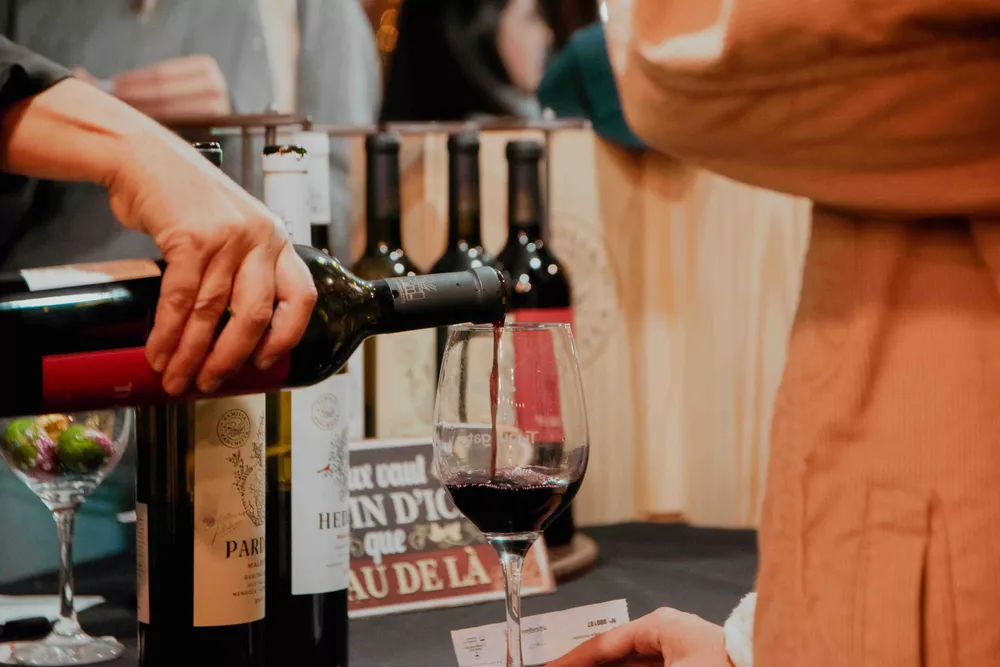 Vinos de altura tupungato