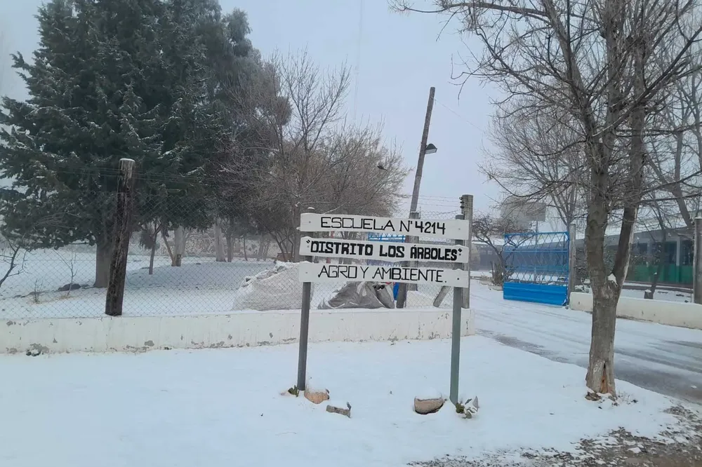 Escuela---nieve